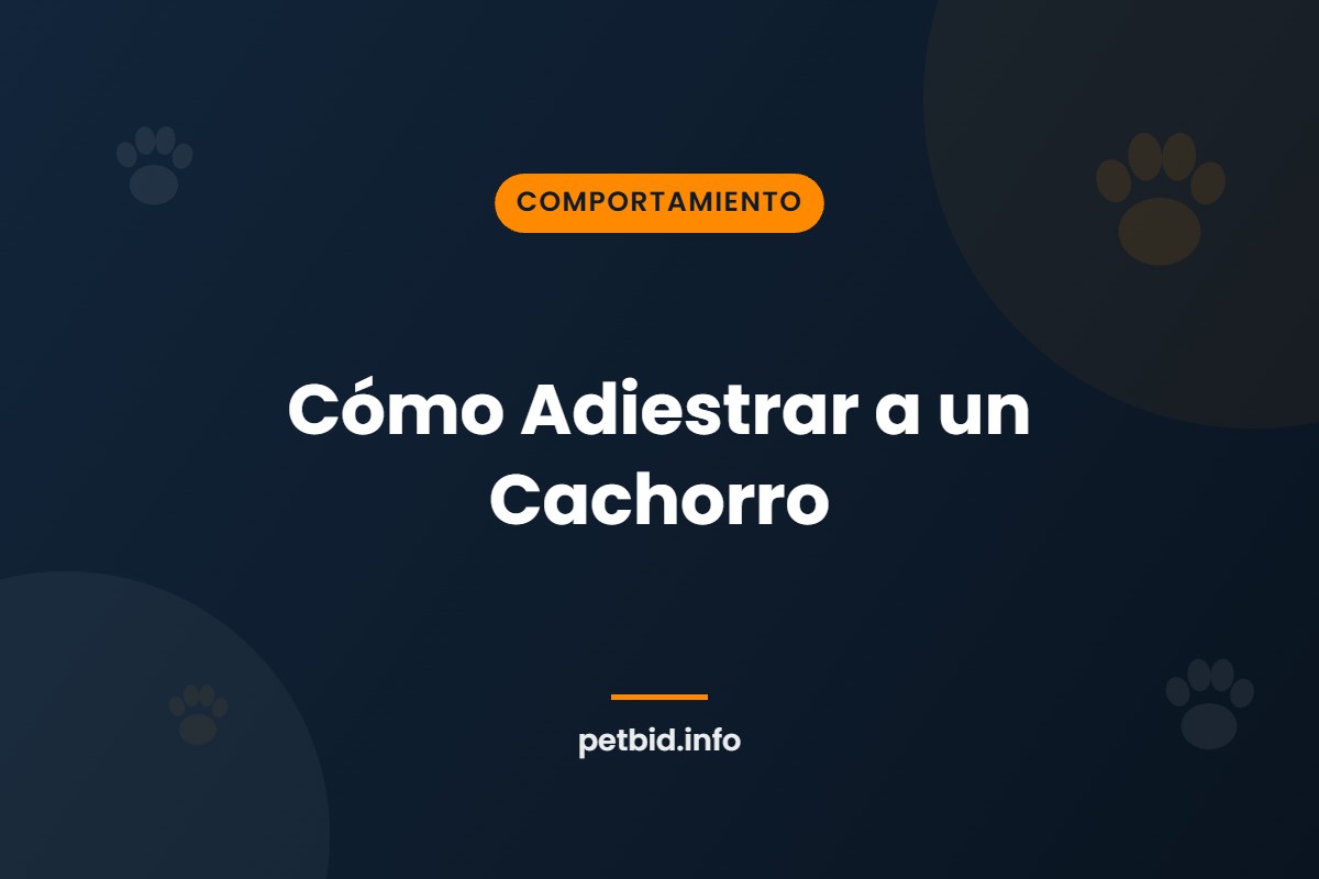 Adiestramiento de cachorros