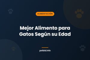 Alimento para gatos por edad