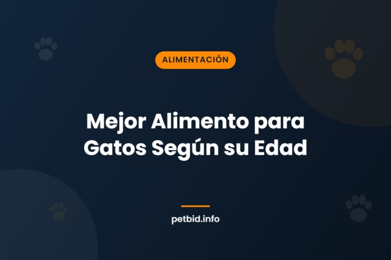Alimento para gatos por edad