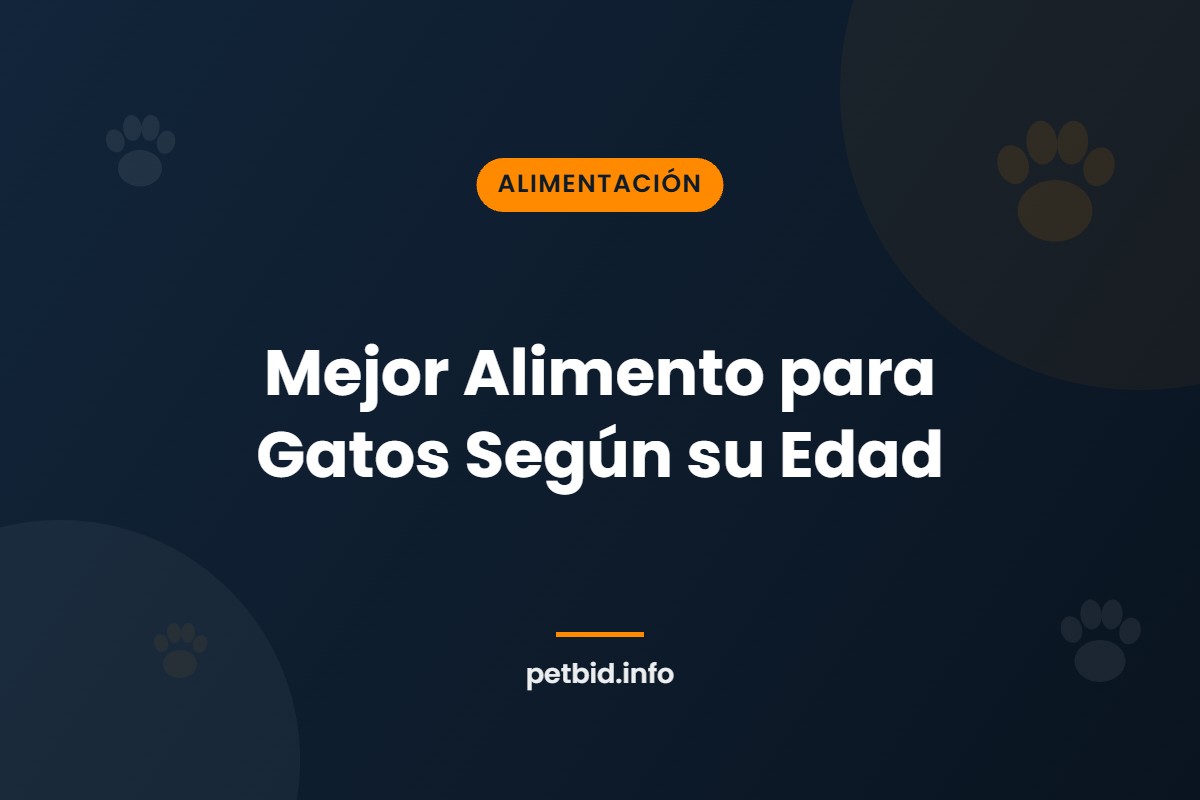 Alimento para gatos por edad