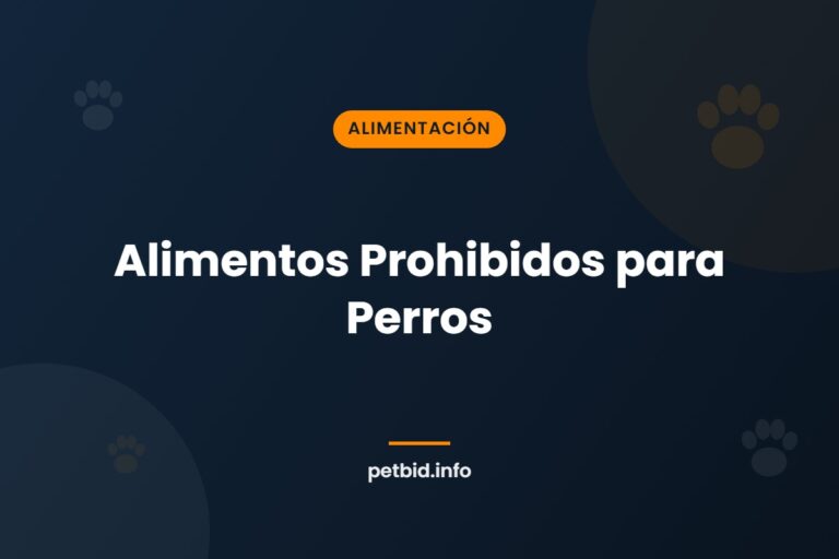 Alimentos tóxicos para perros