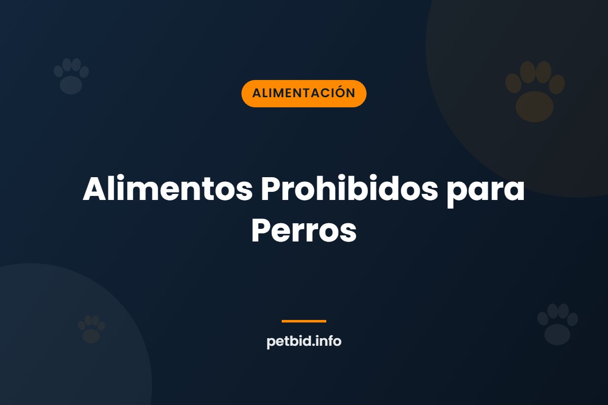 Alimentos tóxicos para perros