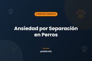 Ansiedad por separación canina