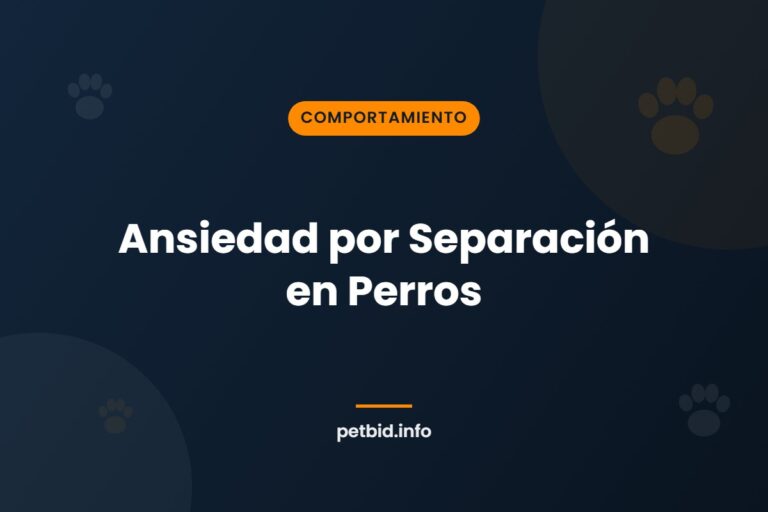 Ansiedad por separación canina