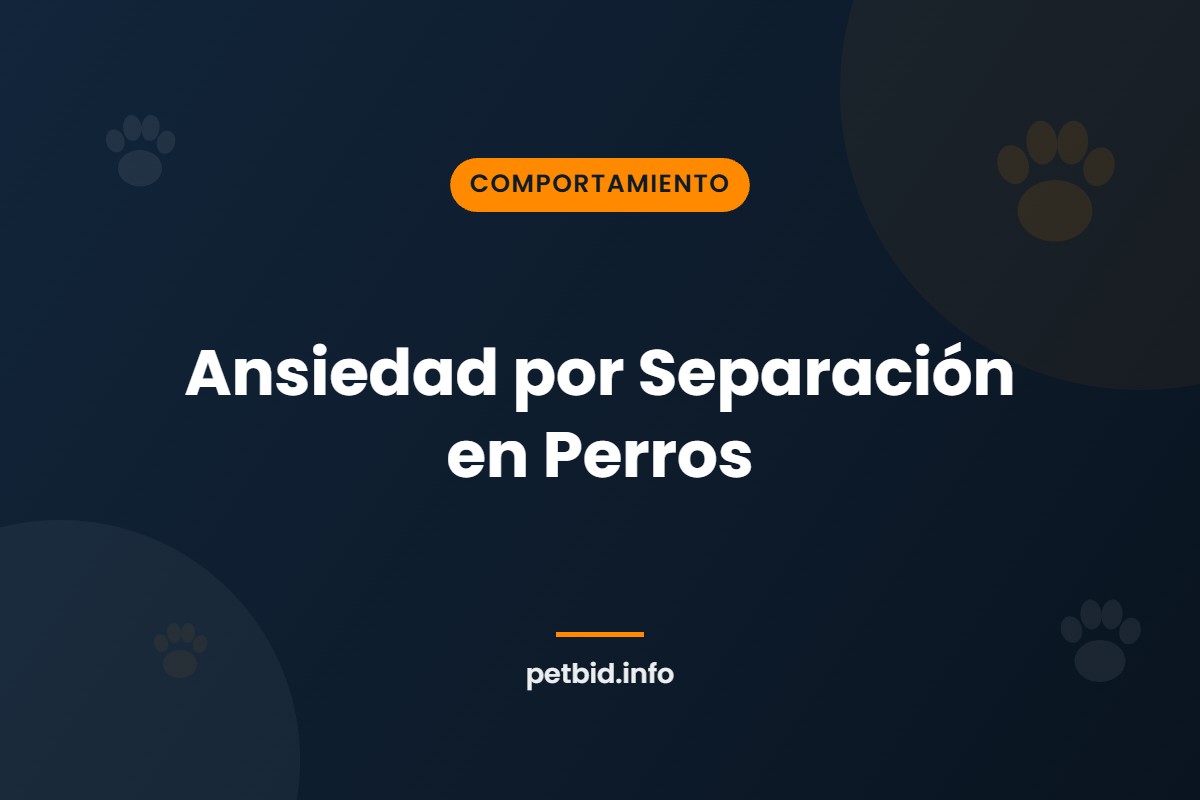 Ansiedad por separación canina
