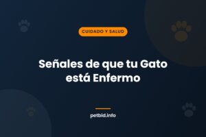 Señales de enfermedad en gatos