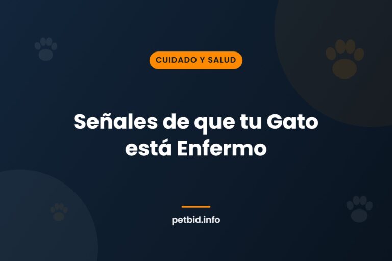 Señales de enfermedad en gatos