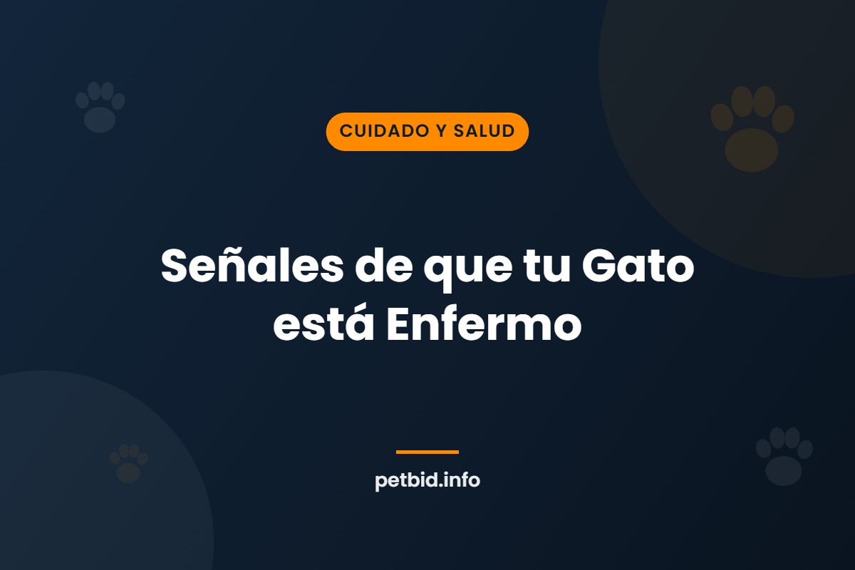 Señales de enfermedad en gatos