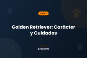 Raza Golden Retriever