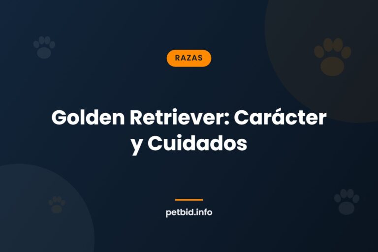 Raza Golden Retriever