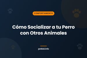 Socialización canina
