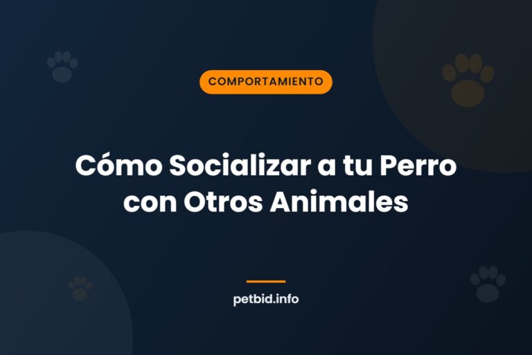 Socialización canina
