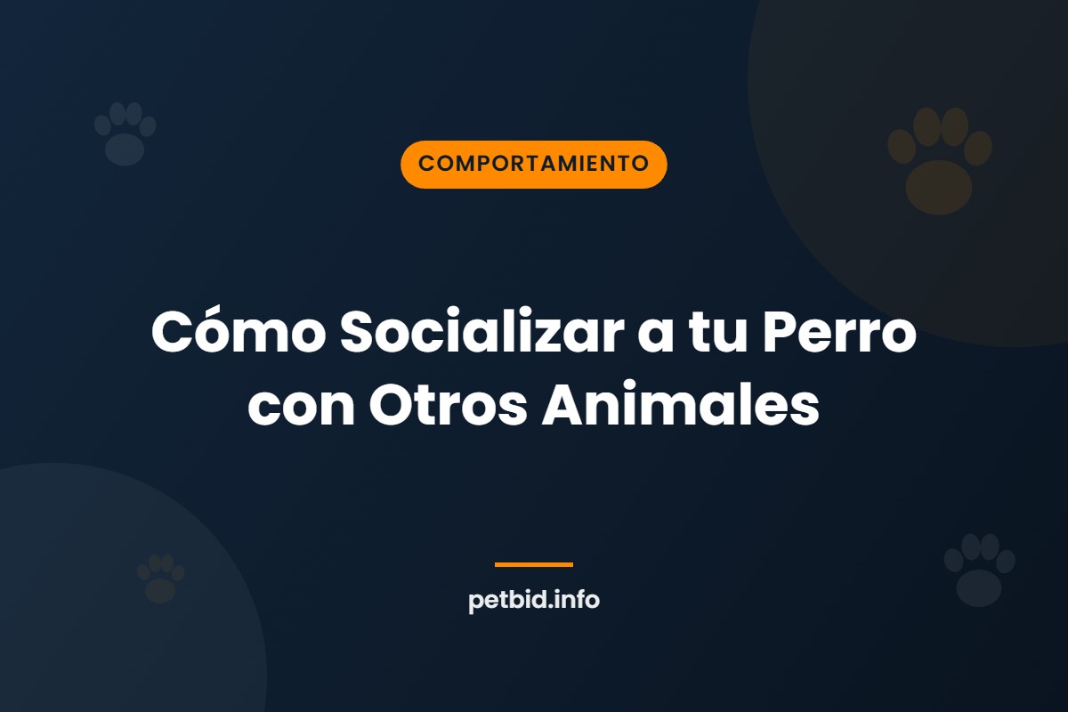 Socialización canina
