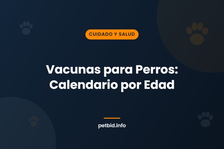 Calendario de vacunación para perros