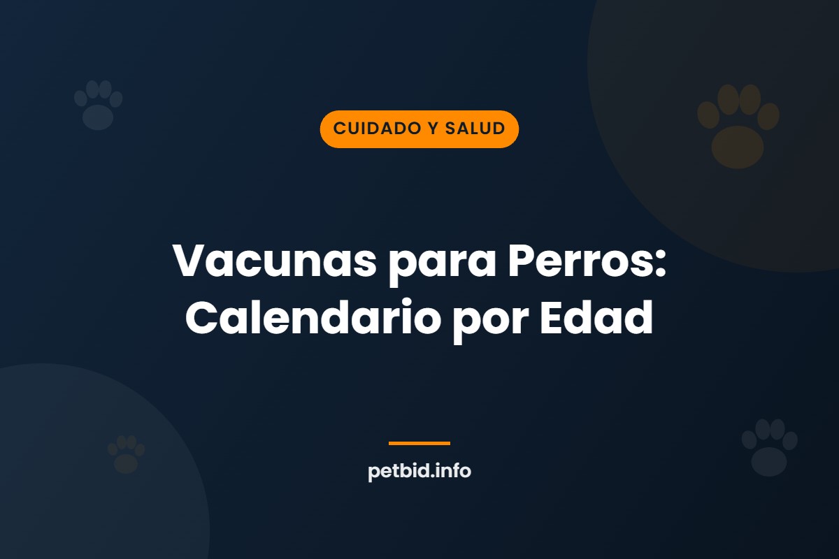 Calendario de vacunación para perros